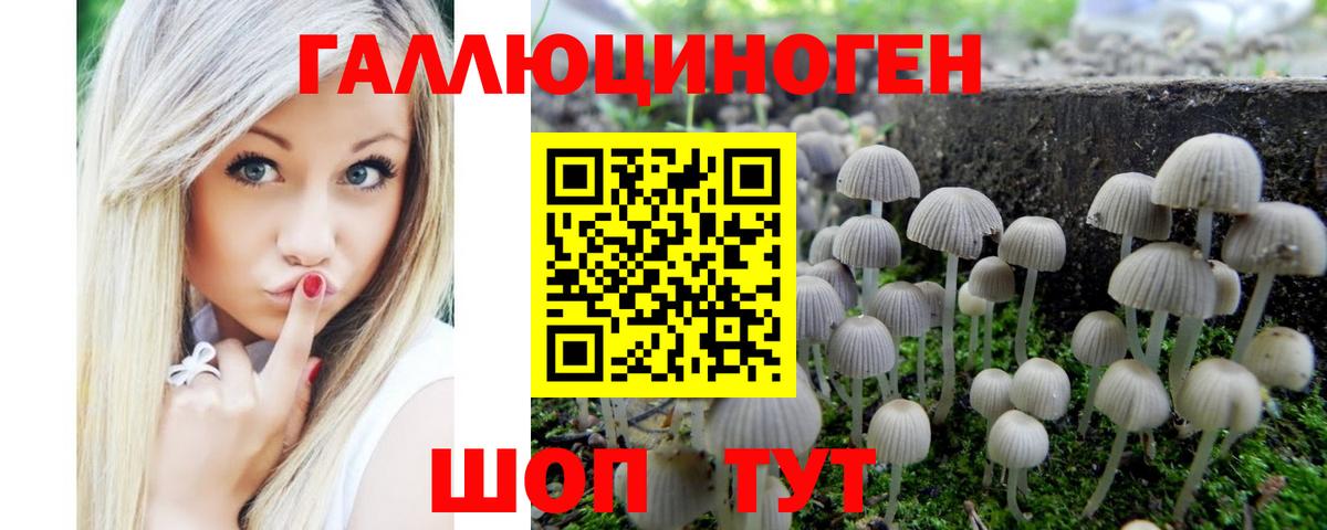 Галлюциногенные грибы прущие грибы Великий Новгород
