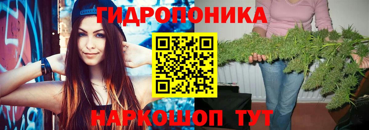 МАРИХУАНА ГИДРОПОН  Конопля OG Kush  Шишки марихуана план  Канабис Bruce Banner  Вход с VPN  Великий Новгород 